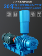 熔噴布高壓風(fēng)機—“大成”羅茨風(fēng)機
